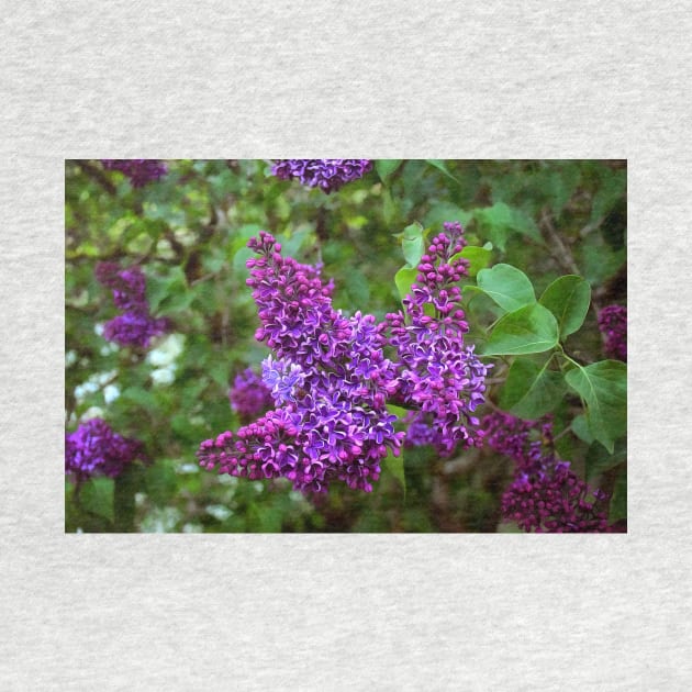 Vivid Purple Lilacs by SeaChangeDesign